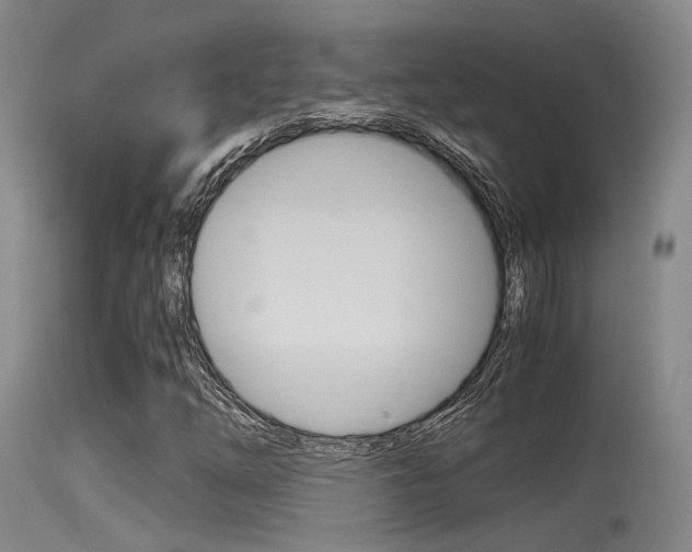 X0000115761254200911130952