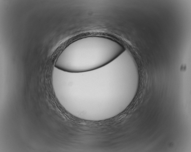 X0000115761255200911130952