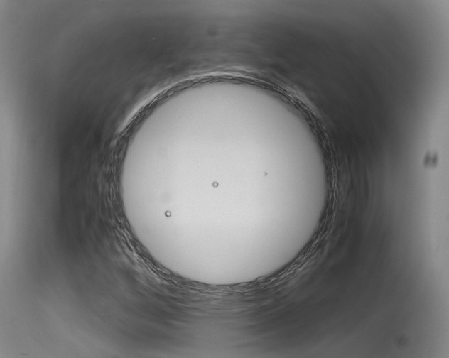 X0000115761256200911130952