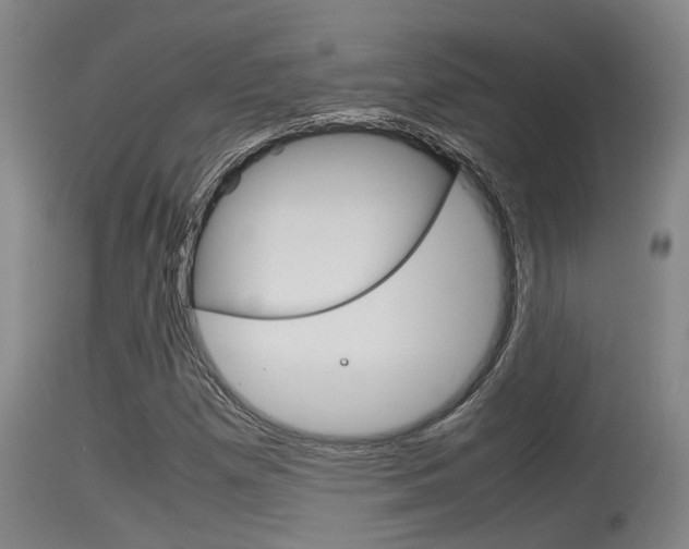 X0000115761257200911130952