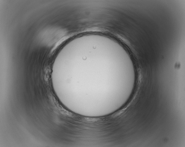 X0000115761258200911130952