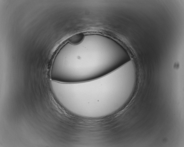 X0000115761260200911130952