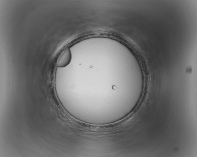 X0000115761261200911130952