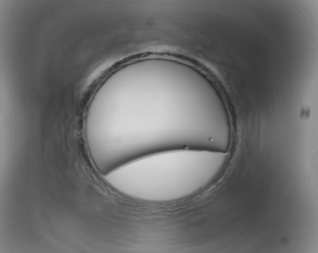X0000115761263200911130952