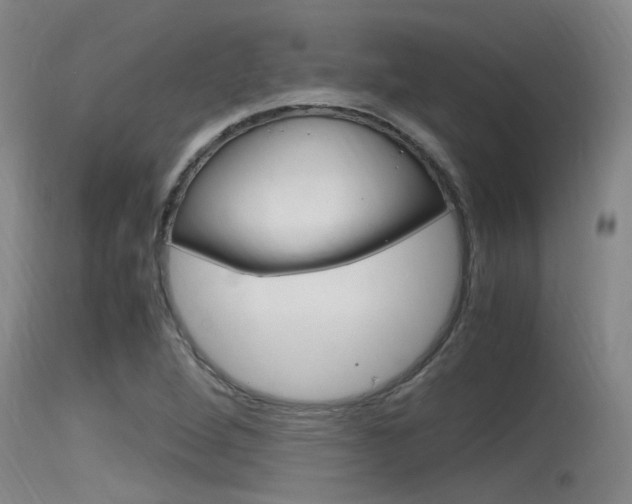 X0000115761264200911130952
