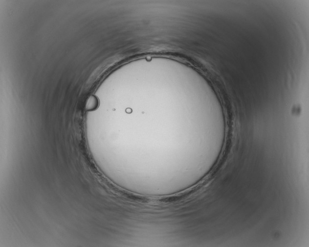 X0000115761265200911130952
