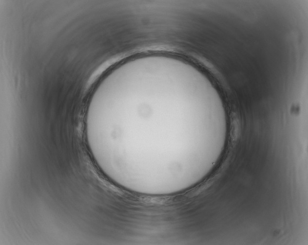 X0000115761266200911130952