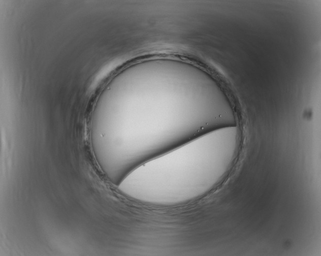 X0000115761267200911130952