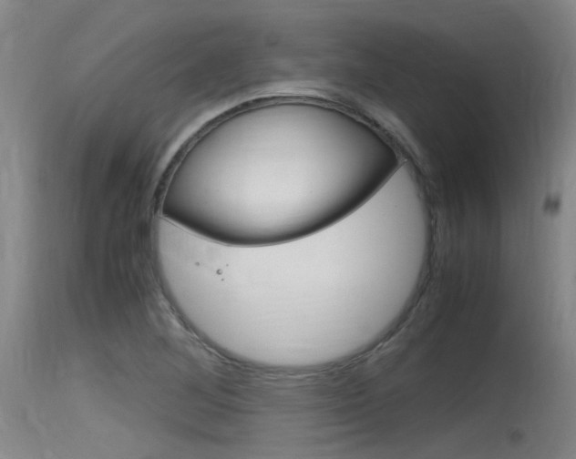 X0000115761268200911130952