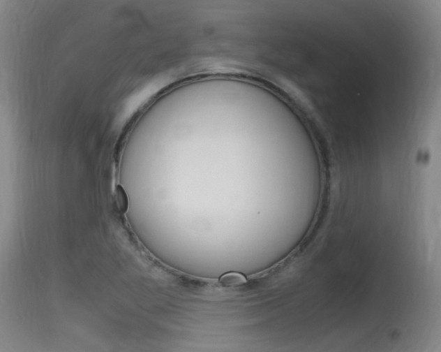 X0000115761269200911130952