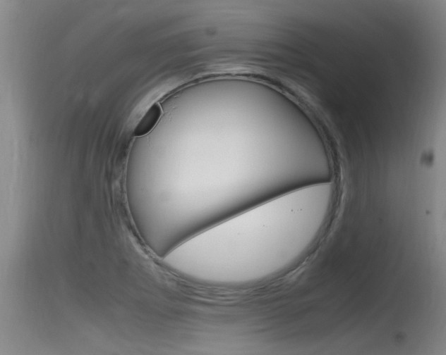 X0000115761273200911130951