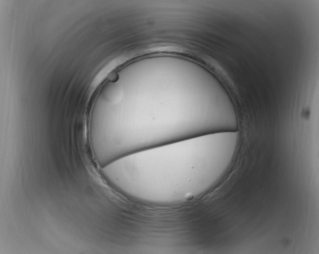 X0000115761274200911130951