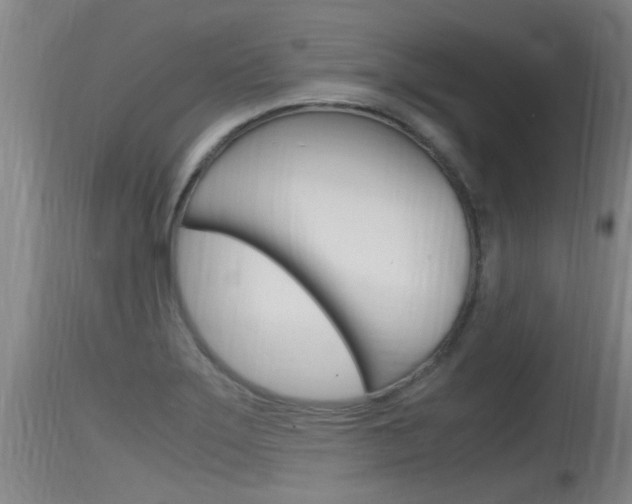X0000115761275200911130951