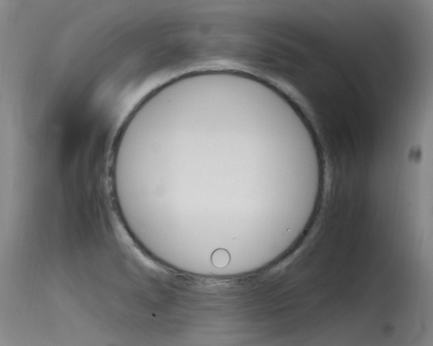 X0000115761278200911130951