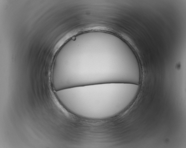 X0000115761282200911130951
