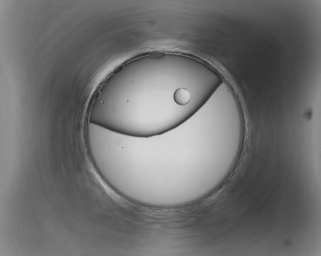 X0000115761285200911130951