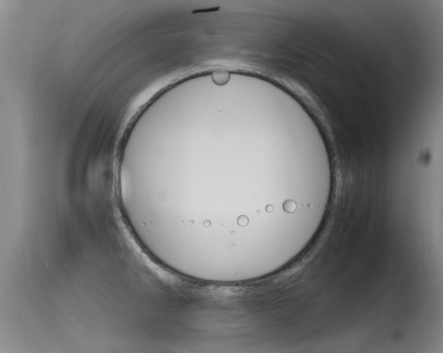 X0000115761286200911130951