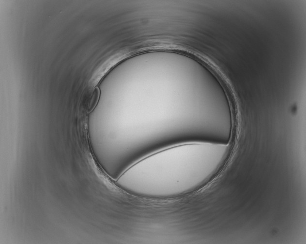X0000115761289200911130951