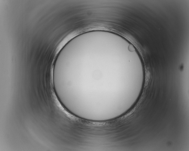 X0000115761290200911130951