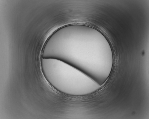 X0000115761291200911130951