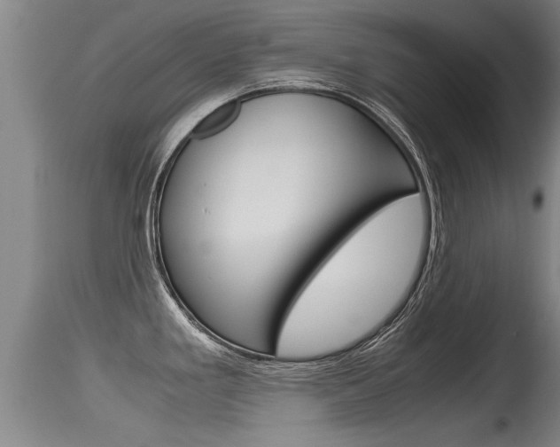 X0000115761293200911130951