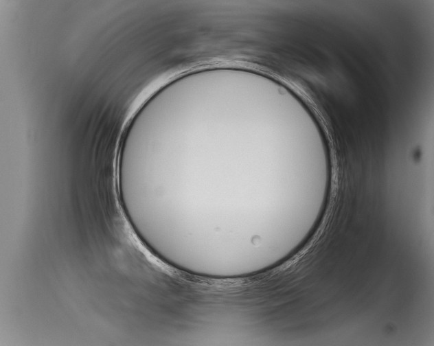 X0000115761294200911130951