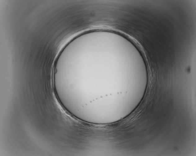 X0000115761295200911130951