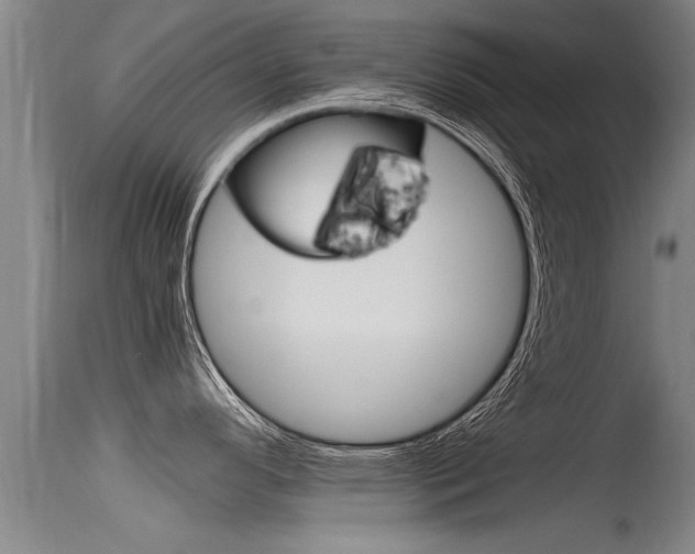 X0000115761296200911130951