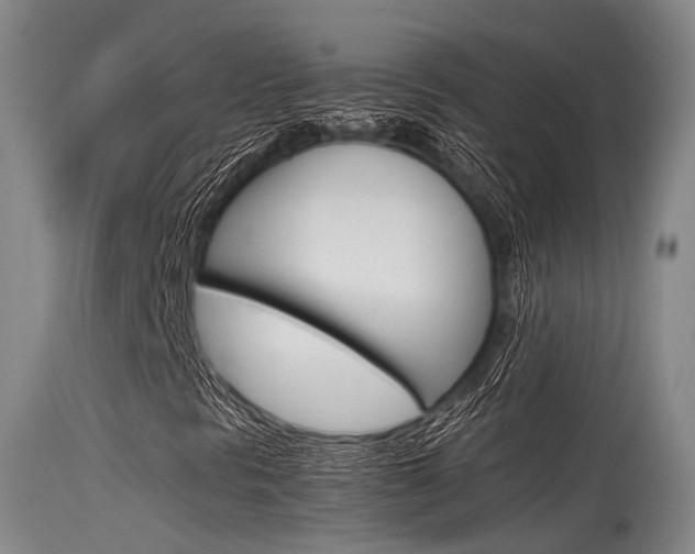 X0000115761297200911130950