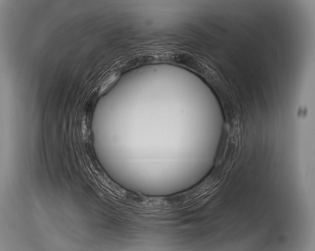 X0000115761298200911130950