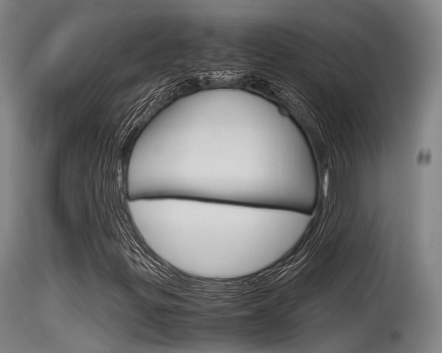 X0000115761299200911130950