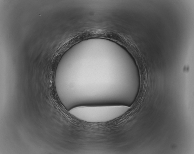 X0000115761301200911130951