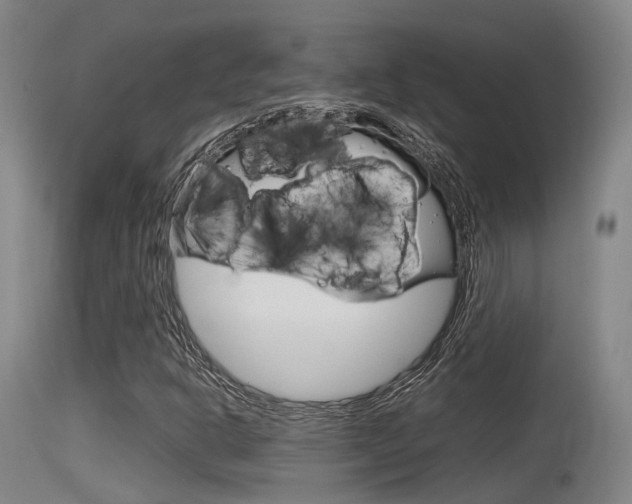 X0000115761302200911130951