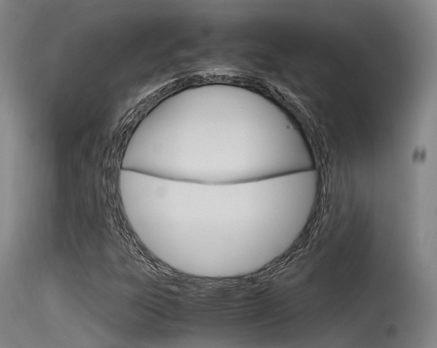 X0000115761303200911130951