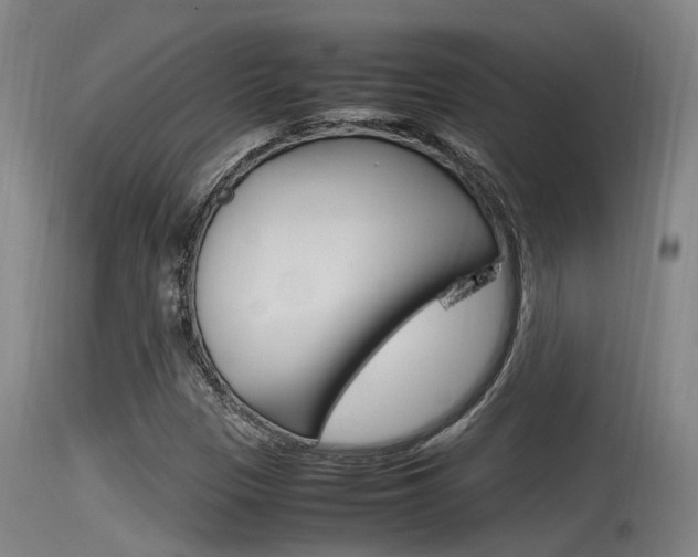 X0000115761305200911130951