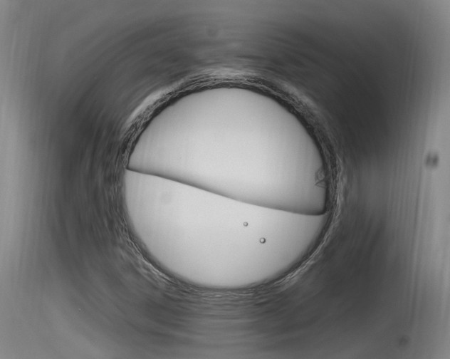 X0000115761306200911130951