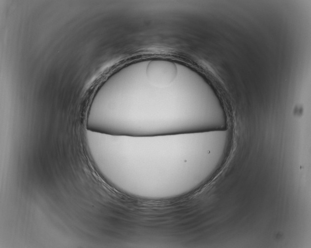 X0000115761307200911130951