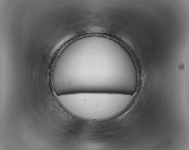 X0000115761309200911130951