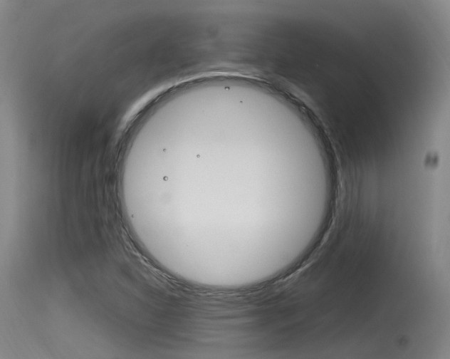 X0000115761310200911130951