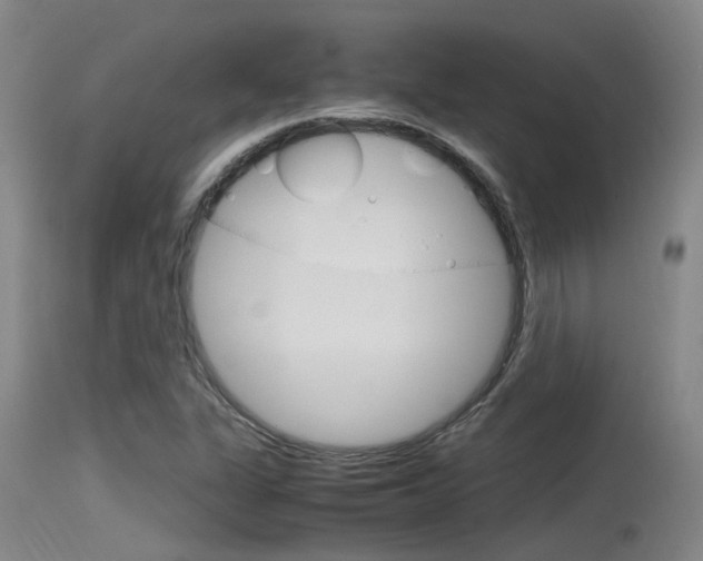 X0000115761311200911130951
