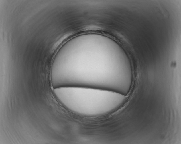 X0000115761313200911130951