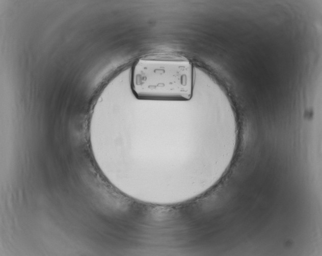 X0000115761314200911130951