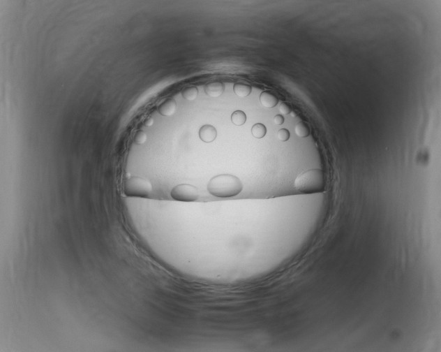 X0000115761315200911130951