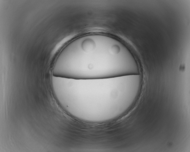X0000115761317200911130951
