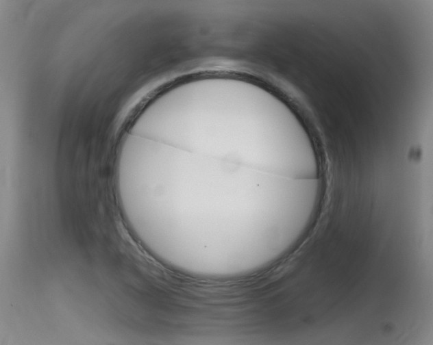 X0000115761318200911130951