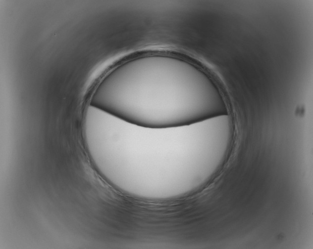 X0000115761319200911130951