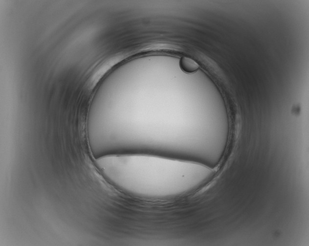 X0000115761321200911130951