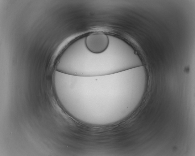 X0000115761323200911130951
