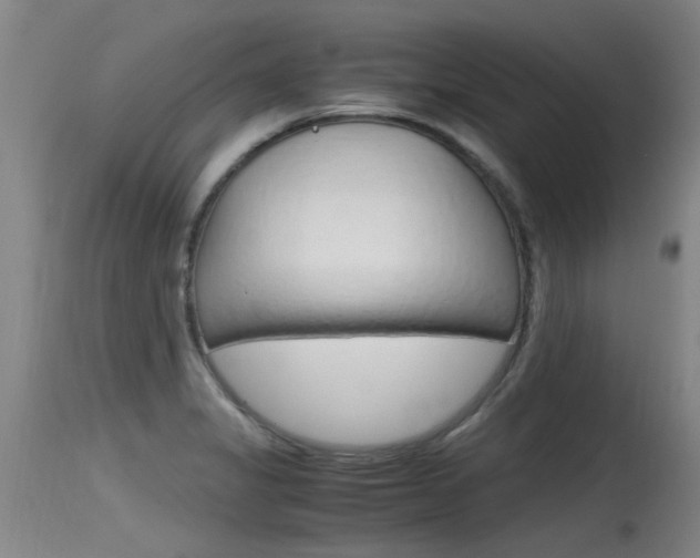 X0000115761325200911130951