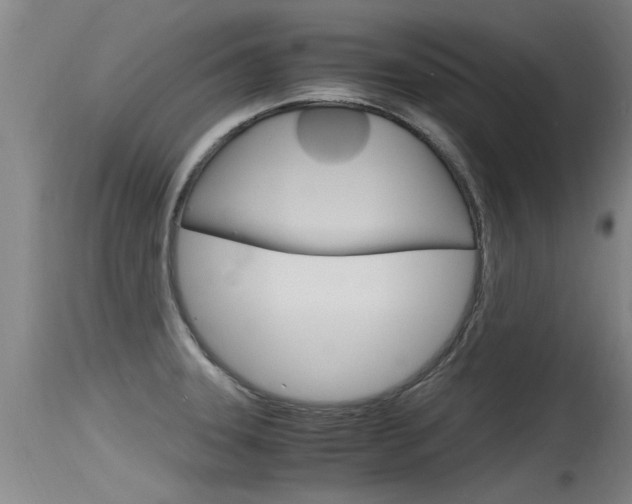 X0000115761331200911130951